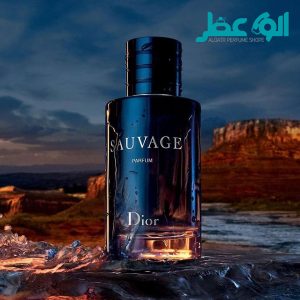 خرید عطر دیور ساواج ادو پرفیوم | Dior Sauvage Eau de Parfum خرید عطر دیور ساواج ادو پرفیوم | Dior Sauvage Eau de Parfum
